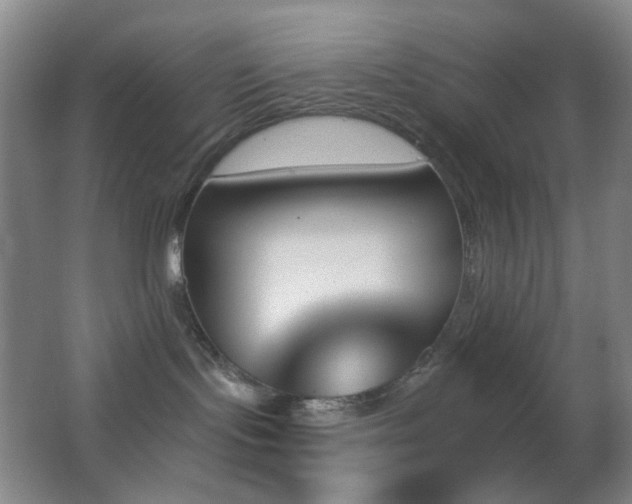 X0000062910095200601131437