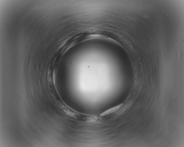 X0000062910096200601131437