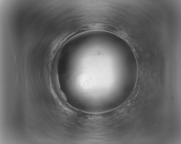 X0000062910097200601131436