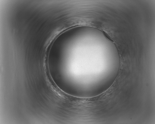 X0000062910098200601131436