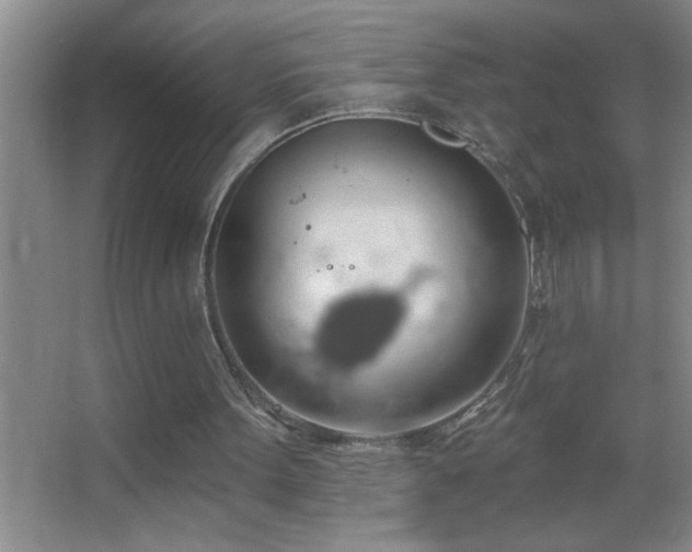 X0000062910099200601131436