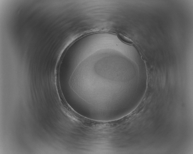 X0000062910100200601131436