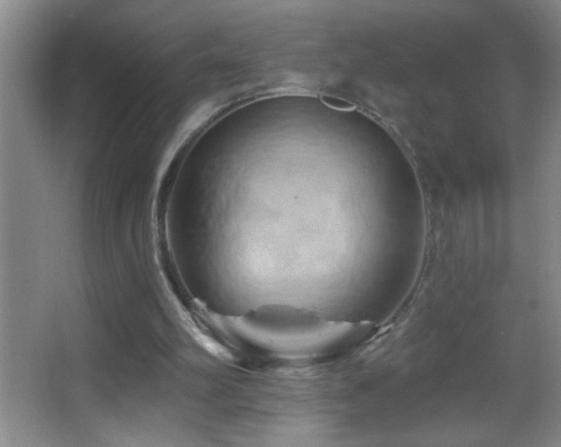 X0000062910102200601131436