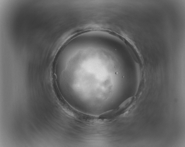 X0000062910103200601131436