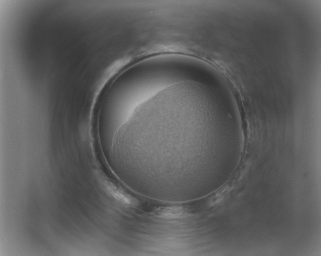 X0000062910104200601131436