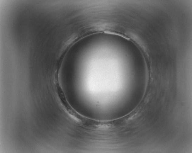 X0000062910105200601131436