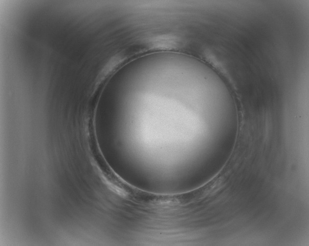 X0000062910106200601131436