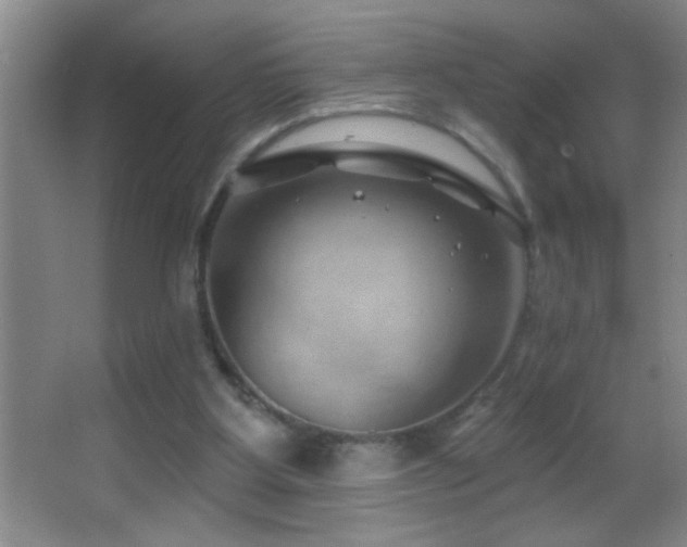 X0000062910107200601131436