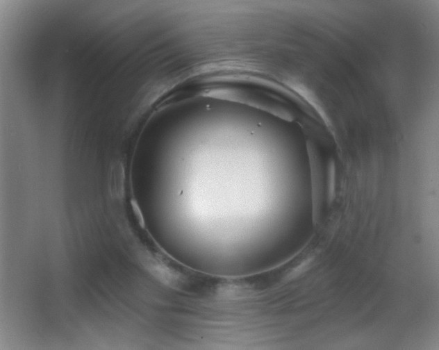 X0000062910109200601131436