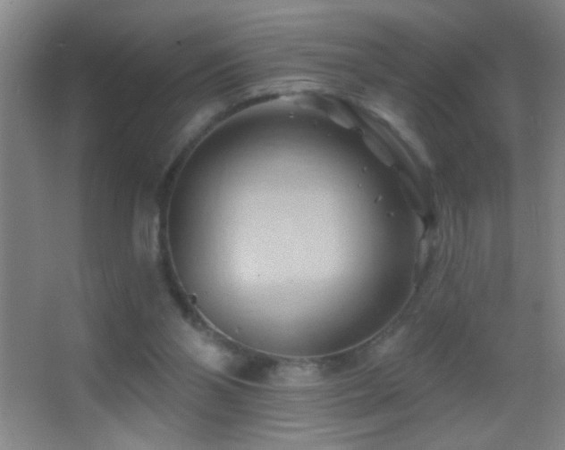 X0000062910110200601131436