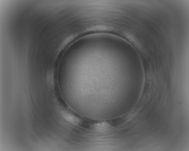 X0000062910112200601131436