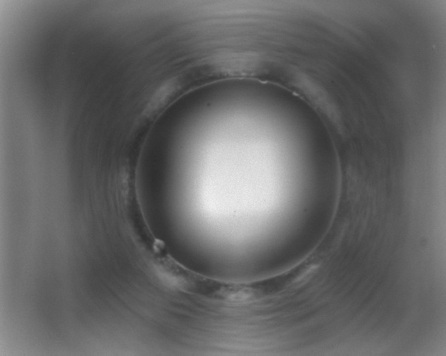 X0000062910113200601131436