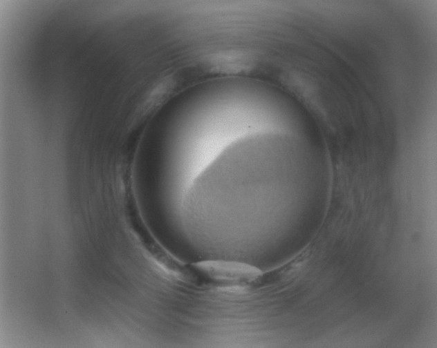 X0000062910114200601131436