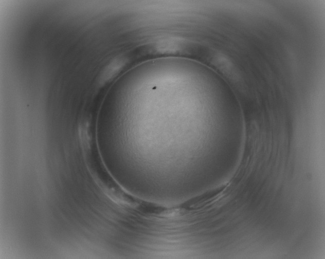 X0000062910116200601131436