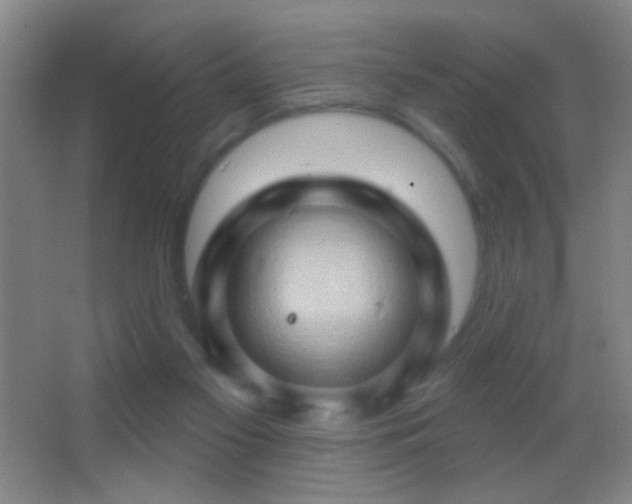 X0000062910117200601131436