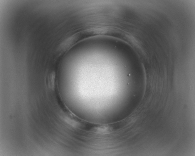 X0000062910118200601131436