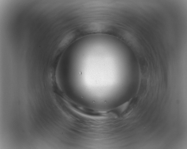 X0000062910119200601131436