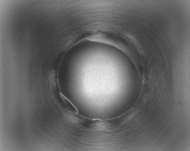 X0000062910121200601131436