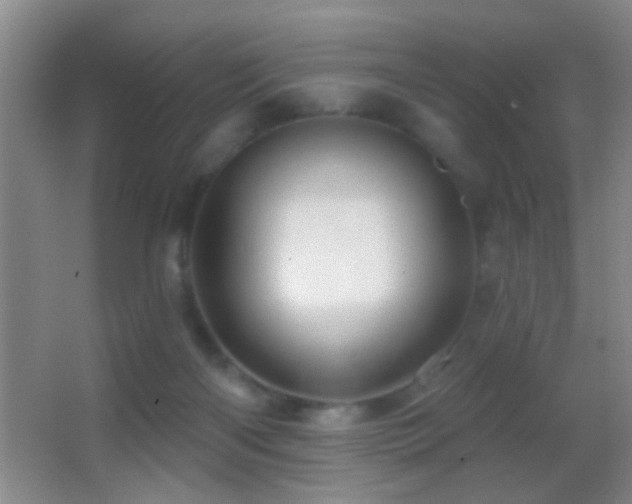 X0000062910122200601131436