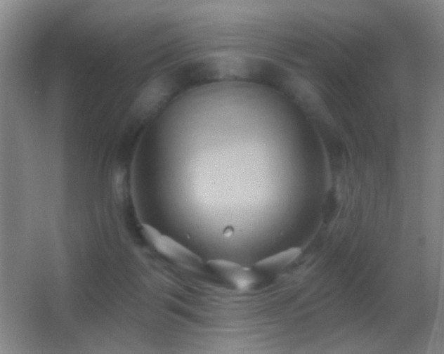 X0000062910123200601131436