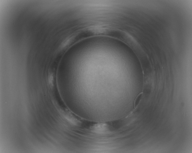 X0000062910124200601131436