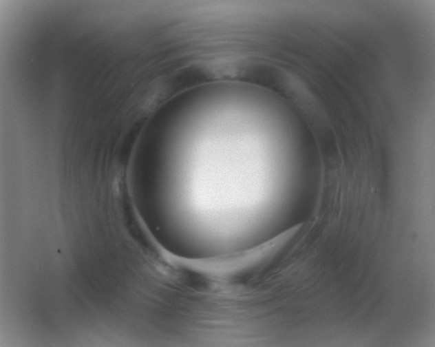 X0000062910125200601131436