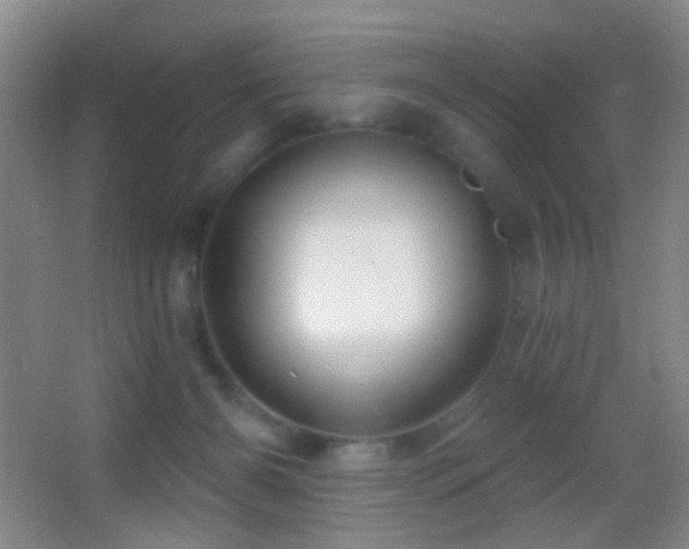 X0000062910126200601131436