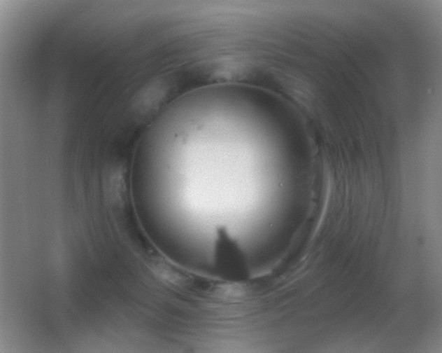 X0000062910127200601131436