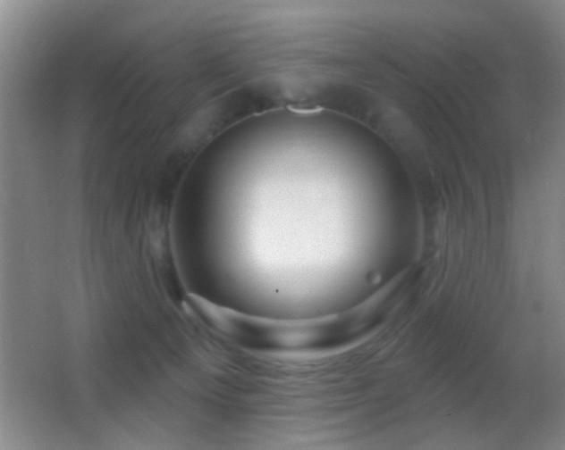 X0000062910129200601131436