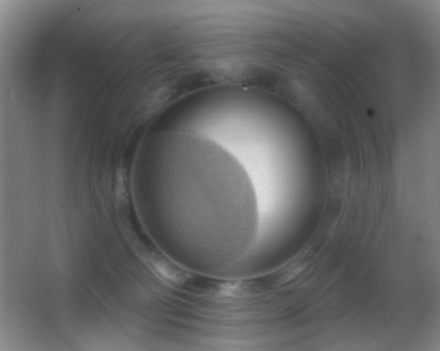 X0000062910130200601131436