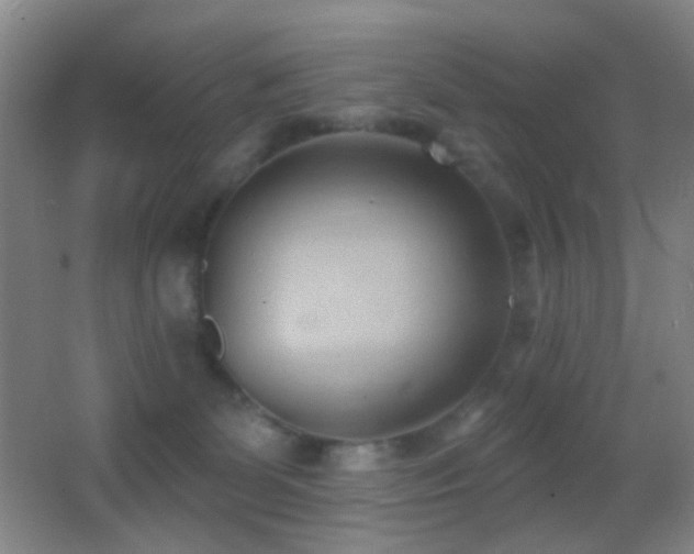 X0000062910131200601131436