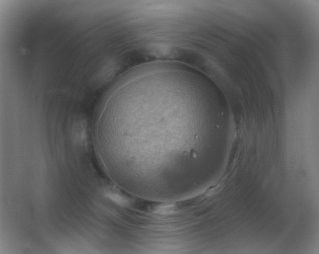 X0000062910132200601131436