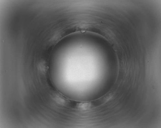 X0000062910135200601131436