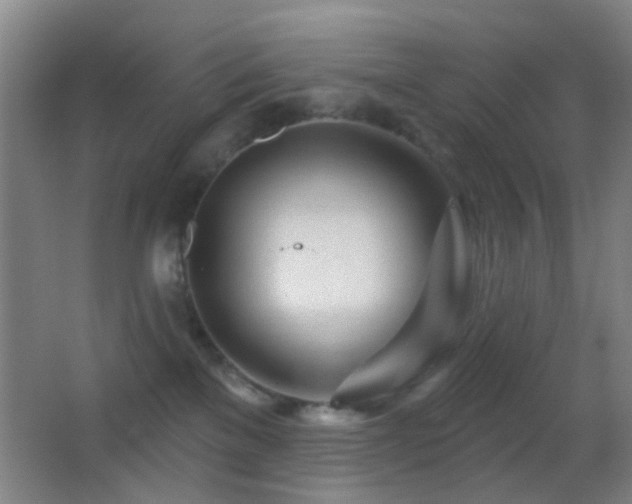 X0000062910137200601131436