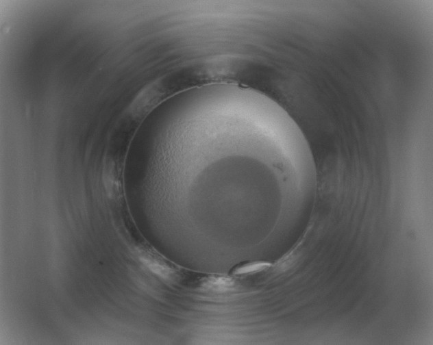 X0000062910140200601131436