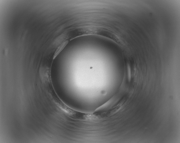 X0000062910141200601131436