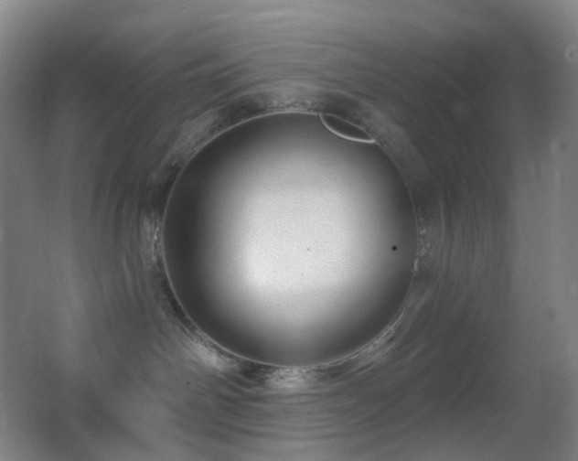 X0000062910142200601131436