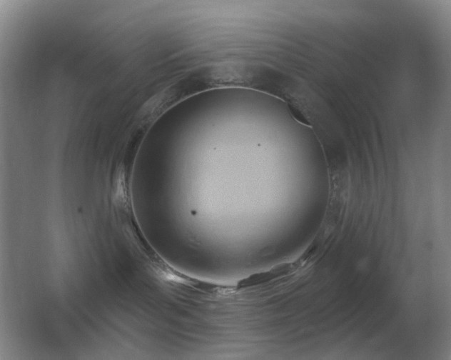 X0000062910143200601131436