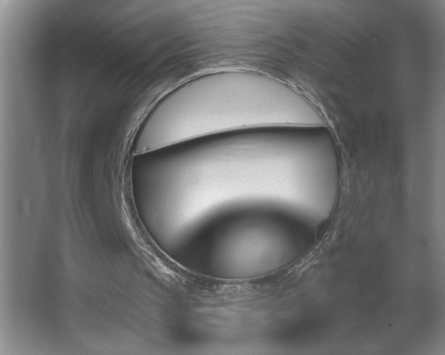 X0000062910145200601131435