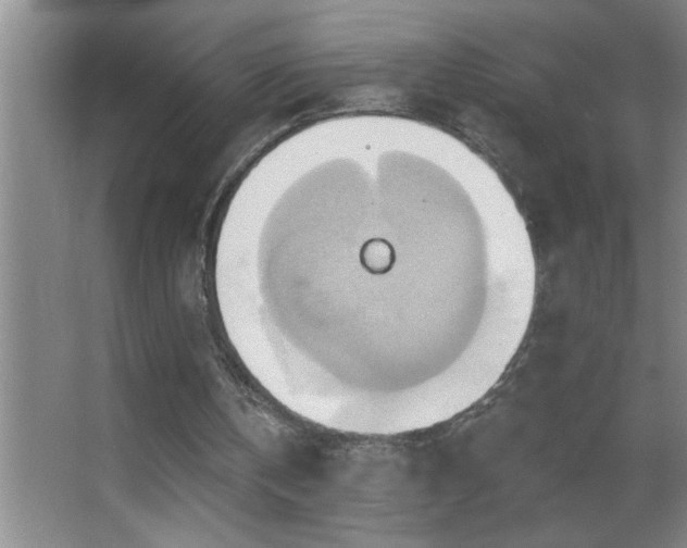 X0000062910146200601131435