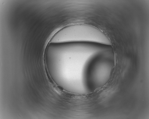 X0000062910147200601131435