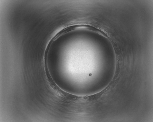 X0000062910148200601131435