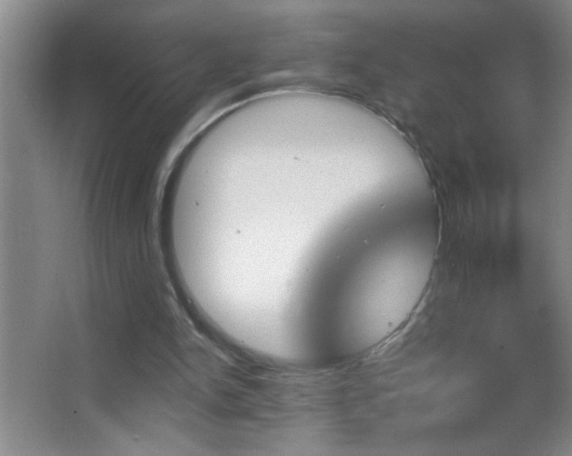 X0000062910150200601131435