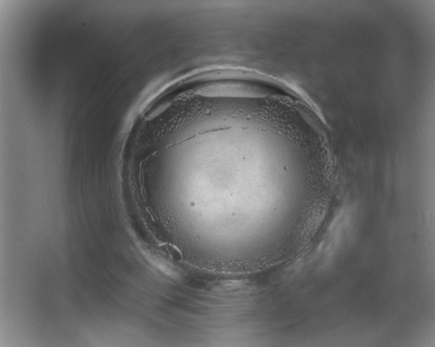 X0000062910151200601131435