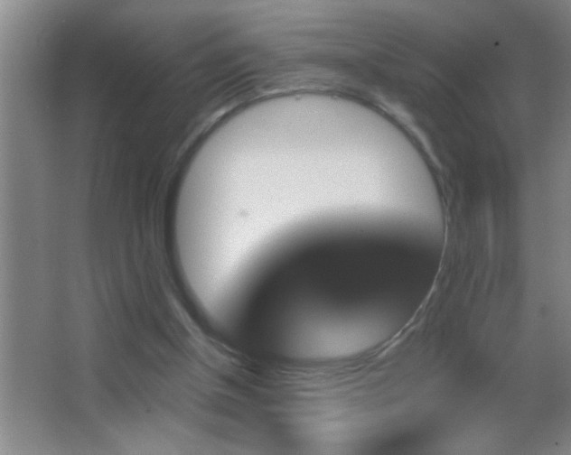 X0000062910154200601131435