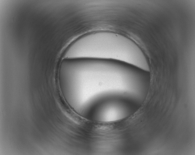 X0000062910155200601131435