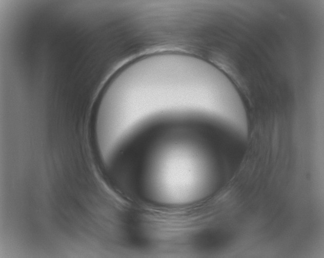 X0000062910156200601131435