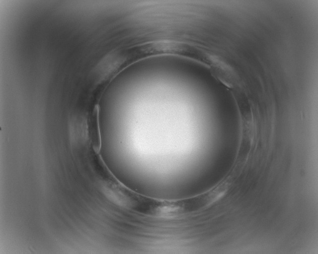 X0000062910158200601131435