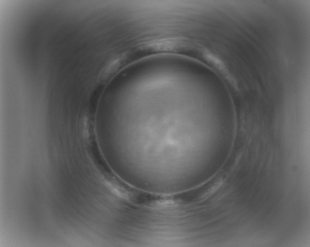 X0000062910161200601131435