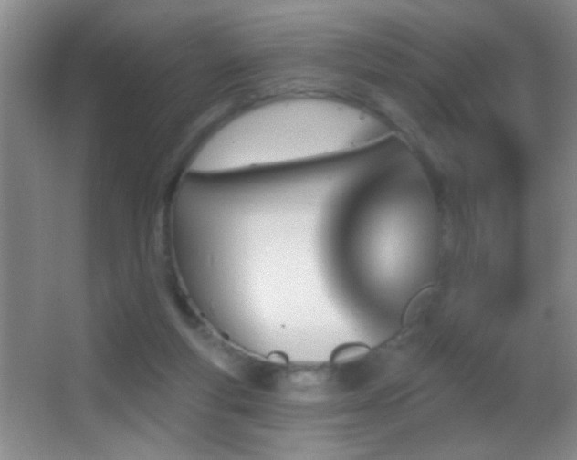 X0000062910163200601131435